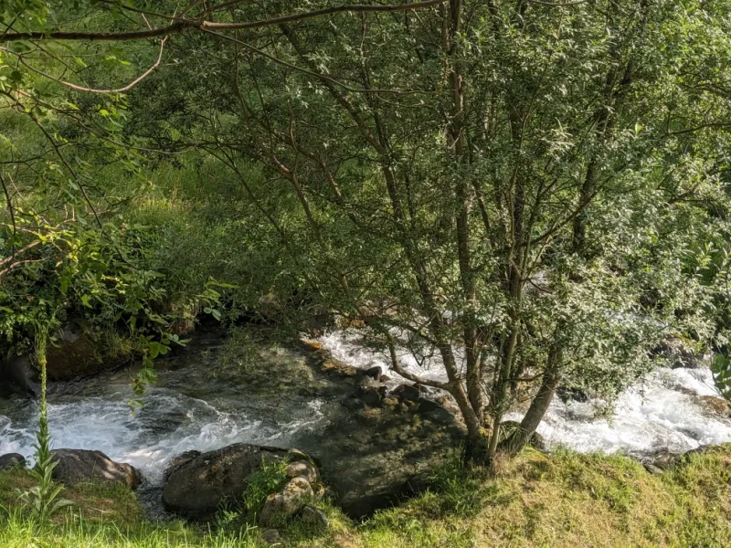 Crystal clear stream runs through garden Grange de Bâa Hautes Pyrénées