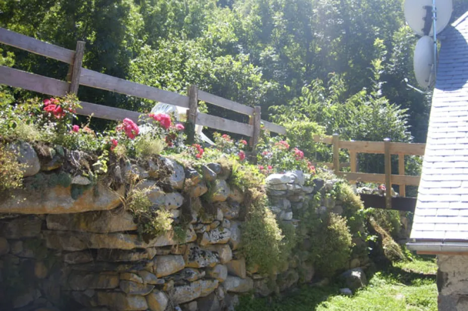 Terrasse fleurie et nature environnante Grange de Bâa Hautes Pyrénées