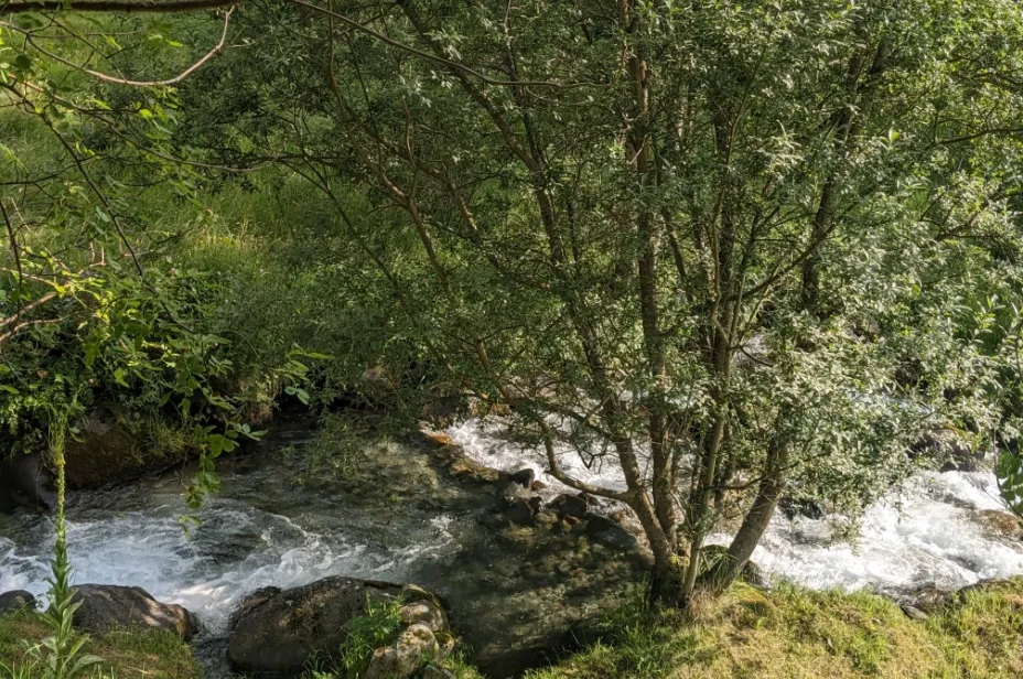 Crystal clear stream runs through garden Grange de Bâa Hautes Pyrénées