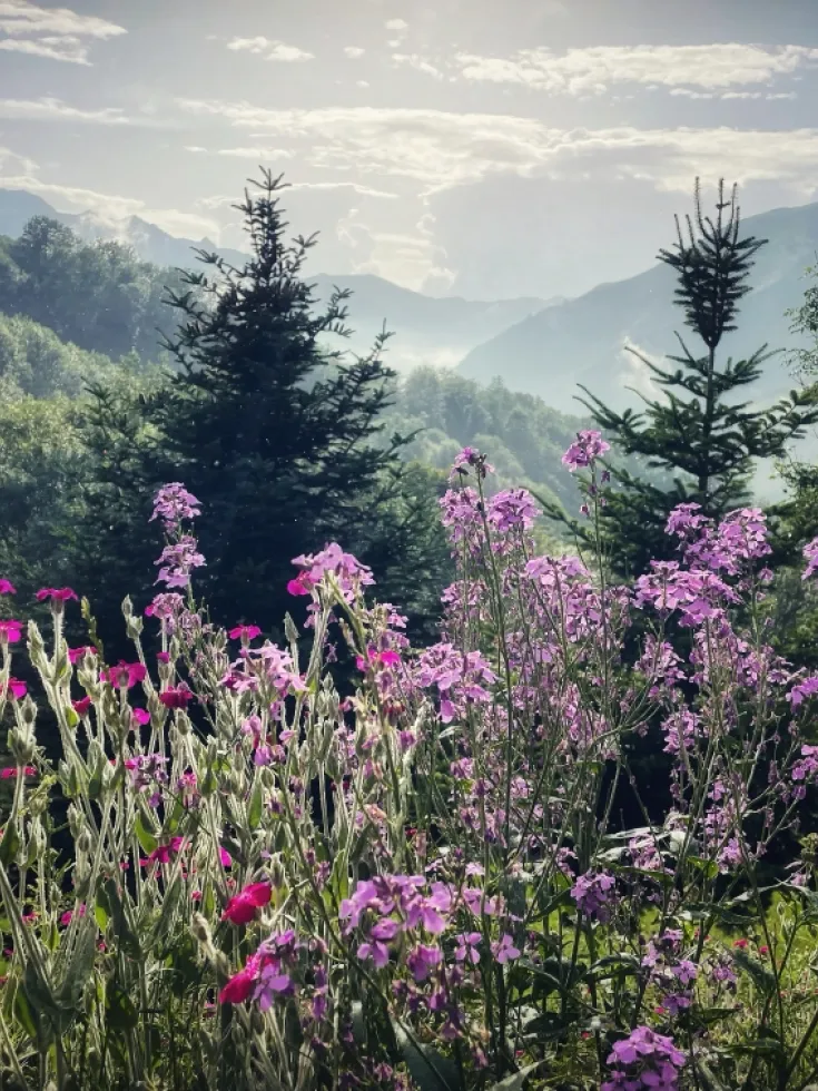 In the heart of the pyrenees Grange de Bâa Hautes Pyrénées