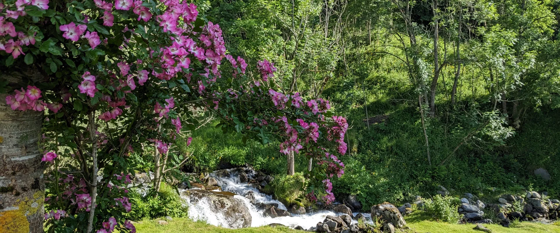 Le torrent coule à proximité Grange de Bâa Hautes Pyrénées