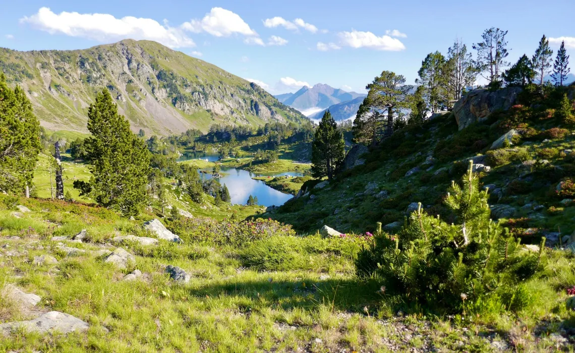 Le Parc National des Pyrénées Grange de Bâa Hautes Pyrénées